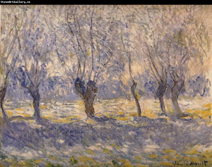 Claude Monet Willows in Haze,Giverny